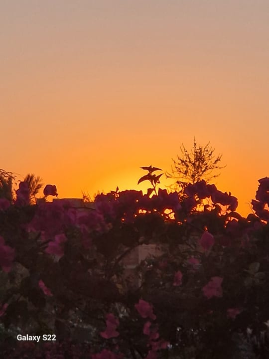 Gartenanlage Anissa Beach & Village