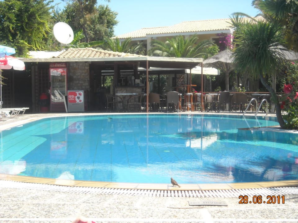 Der große Pool Hotel Ilena