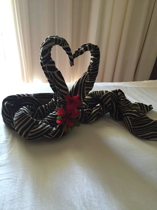 Deko Marien Puerto Plata