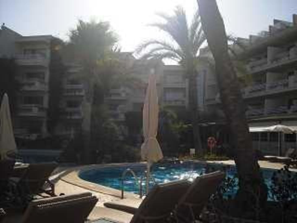 Pool VIVA Golf - Adults only 18+