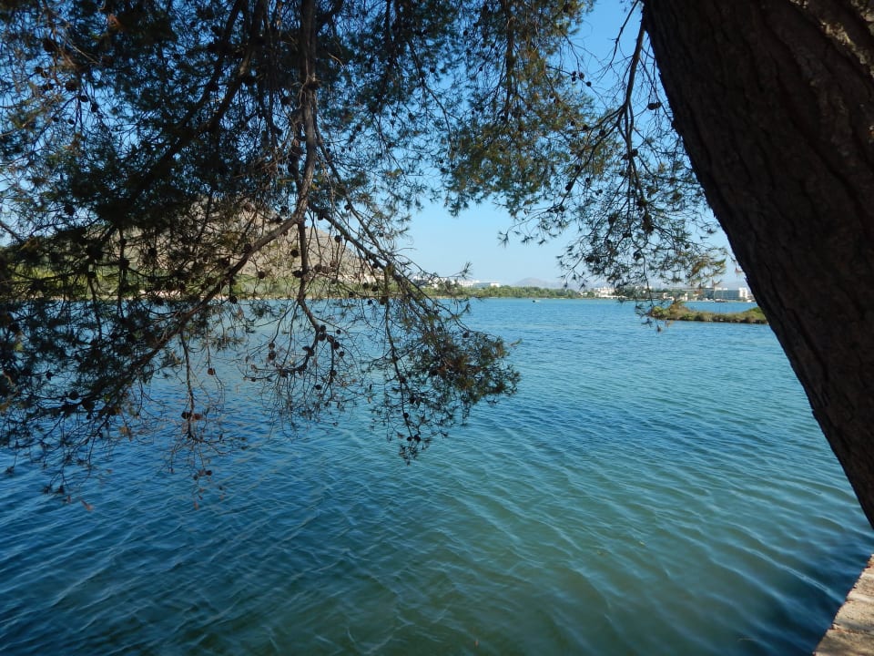 Am See VIVA Eden Lago