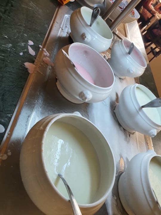 Gastro Mahdia Beach & Aquapark