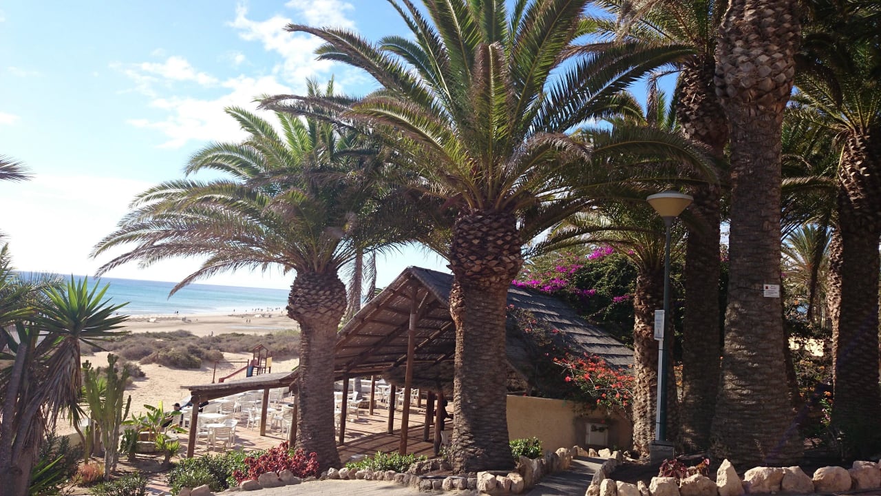 Weg zur Strandbar SBH Monica Beach Resort