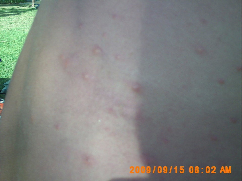 Zimmer 245 mit Haustieranschluss EKHO Surf