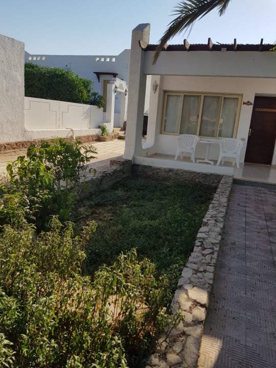 Zimmer Menaville Safaga