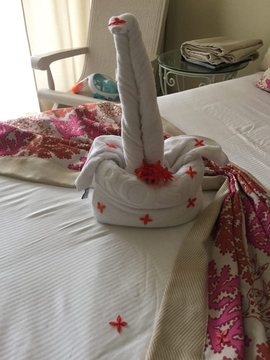 Zimmer Iberostar Selection Hacienda Dominicus