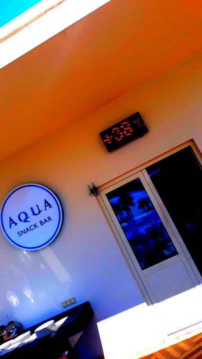 Sonstiges Paloma Oceana