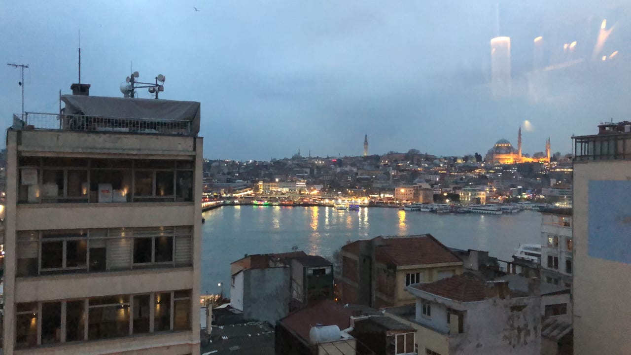 Zimmer Momento Golden Horn