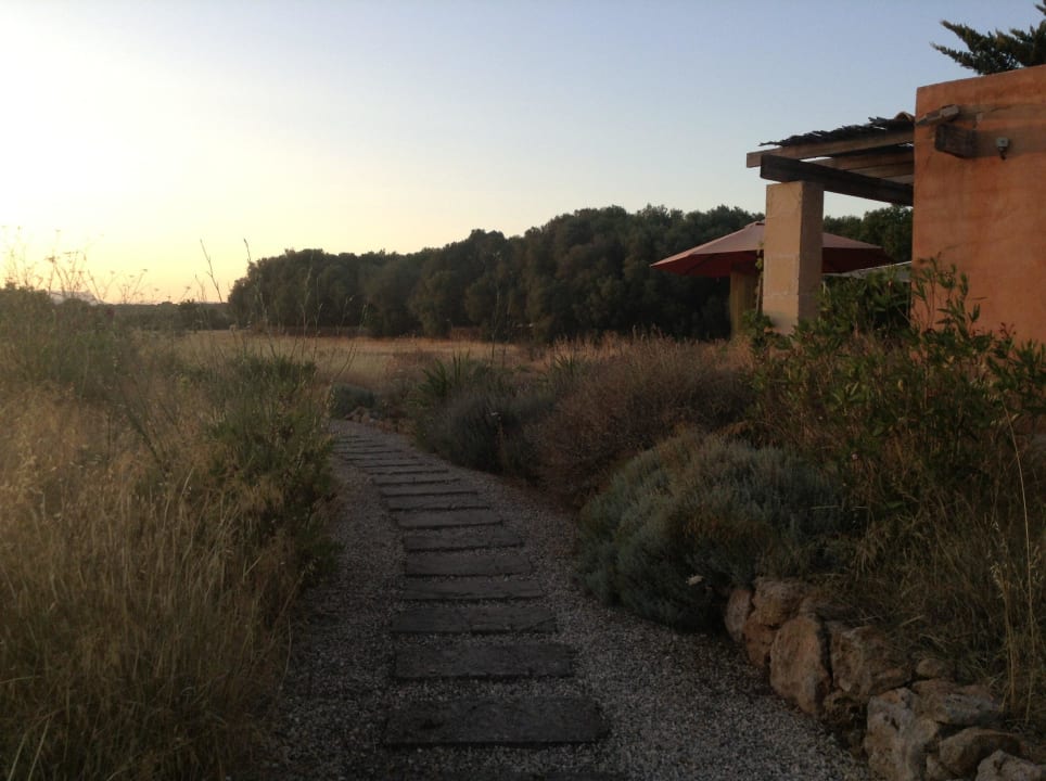 Zugang zu den Poolhäusern und zu dem Pool Fincas Castell Son Lladó