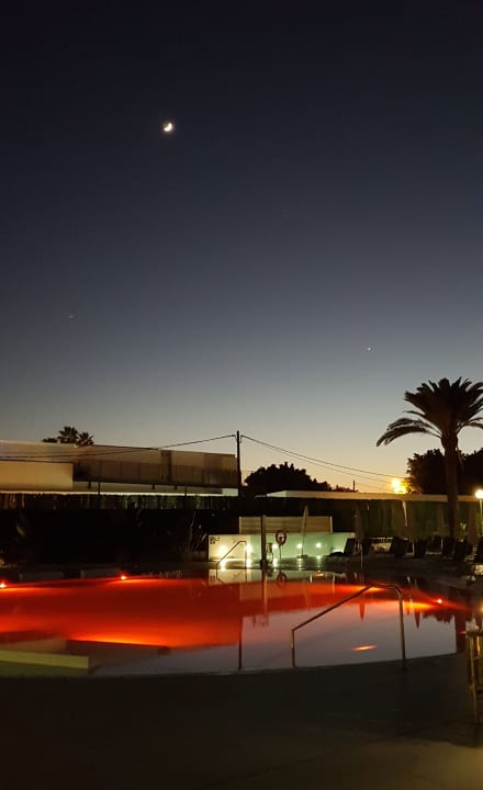 Pool Canary Garden Club