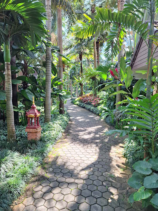 Gartenanlage Laluna Hotel & Resort