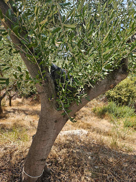 Sonstiges Akrathos Beach Hotel