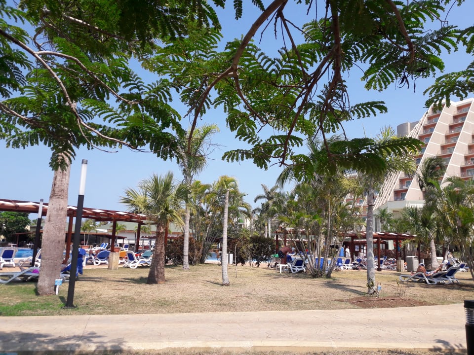 Außenansicht Blau varadero - Adults only