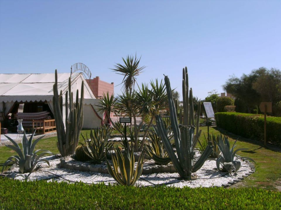 Parc Sentido Akassia Beach