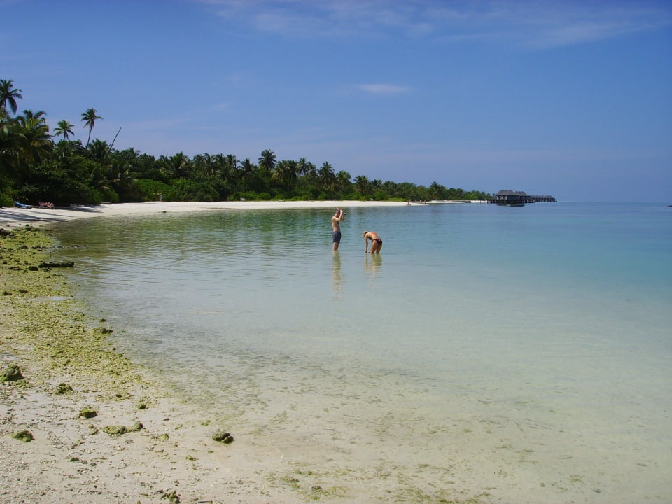 Strand vor den Gartenbungalows (Ebbe) Kuredu Island Resort & Spa
