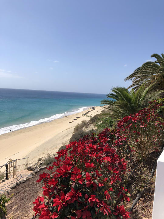 Ausblick SBH Club Paraiso Playa