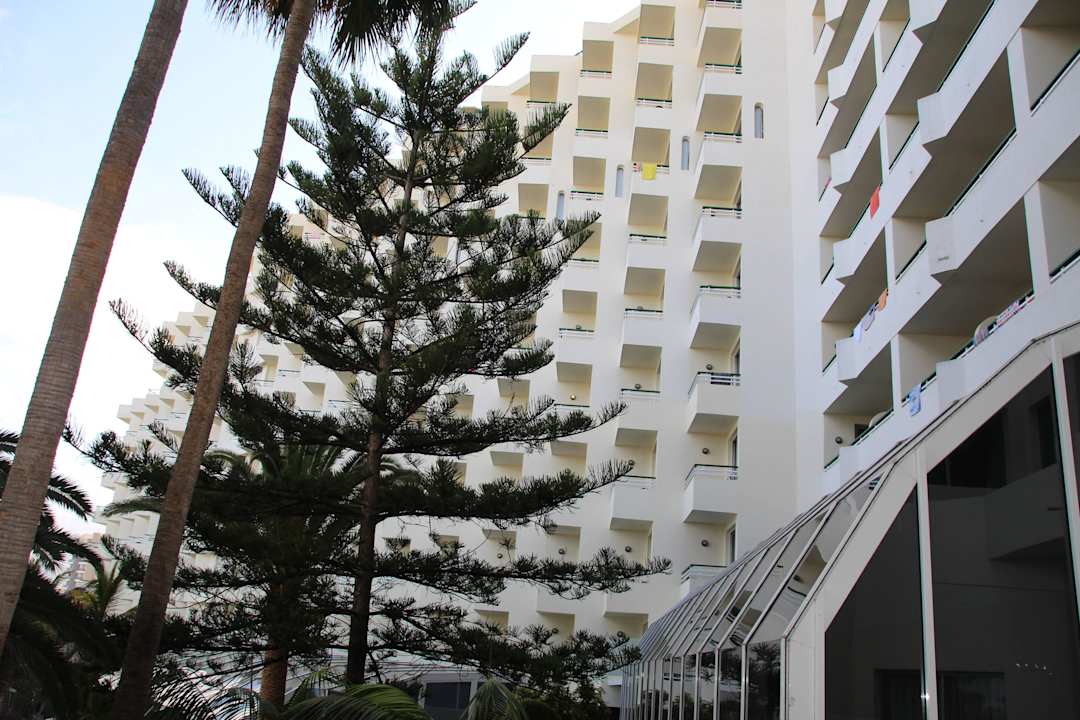 Hôtel H10 Las Palmeras - La Vue 2015 H10 Las Palmeras