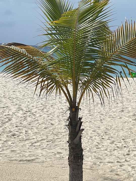 Strand Manchebo Beach Resort & Spa