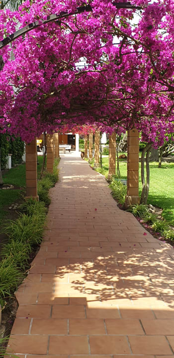 Gartenanlage Alcudia Garden Aparthotel