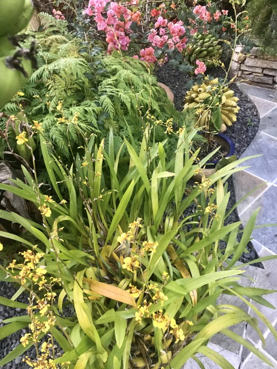 Gartenanlage La maison de Louise