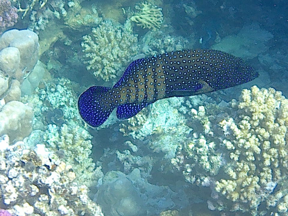 Sport & Freizeit Brayka Bay Resort