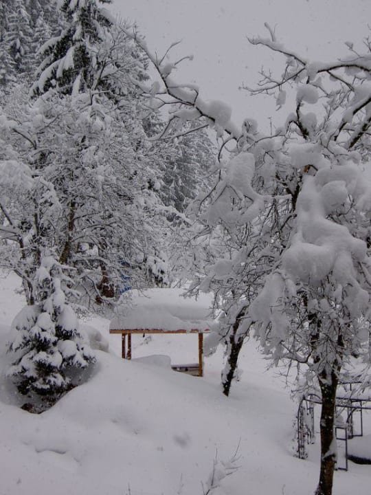 Blick aus dem Zimmerfenster Waldhotel Doldenhorn & Landgasthof Ruedihus