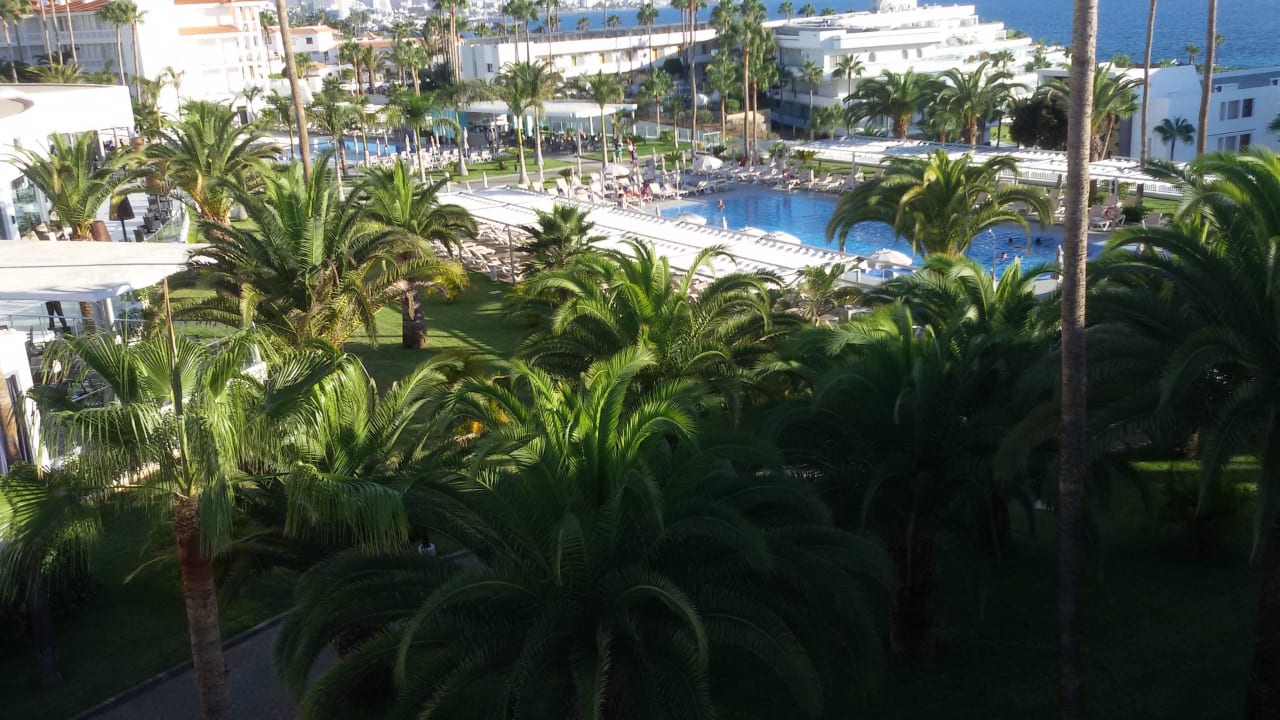 Pools im Palmenwald Hotel Riu Arecas - Adults only