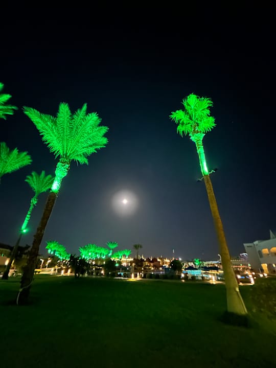 Gartenanlage Pickalbatros Aqua Blu Resort - Sharm El Sheikh