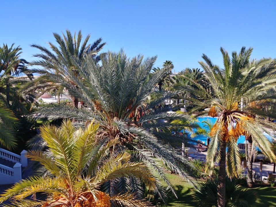 Ausblick Hotel Riu Palace Maspalomas Adults Only
