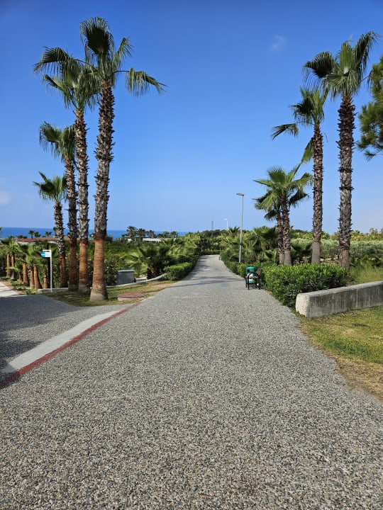 Gartenanlage Alba Resort Hotel