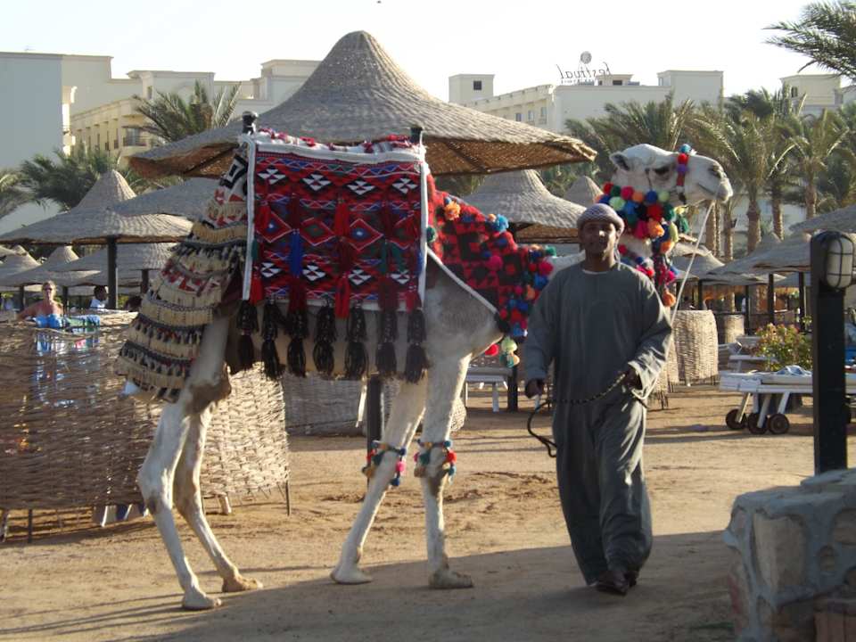 А это Макс Le Jardin Aqua Park Resort