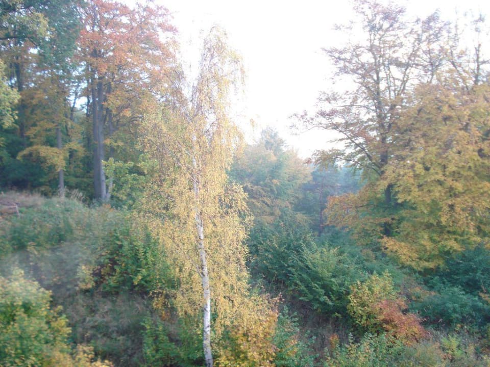 Zimmeraussicht Cliff Hotel Rügen
