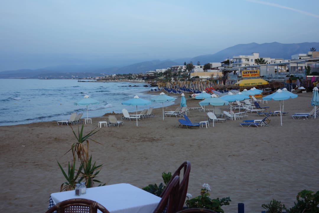 Blick nach Malia Cactus Royal