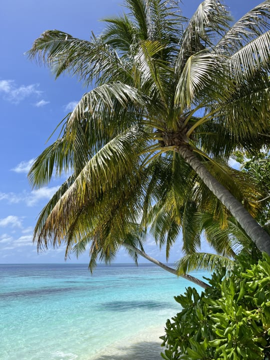 Strand Vilamendhoo Island Resort & Spa