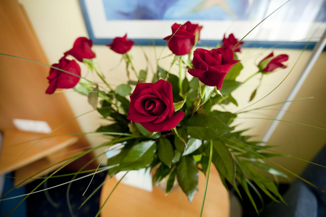 Zimmer Hotel Möhringer Hof