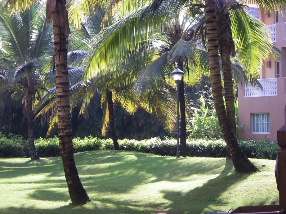 Vor dem Haus Marien Puerto Plata