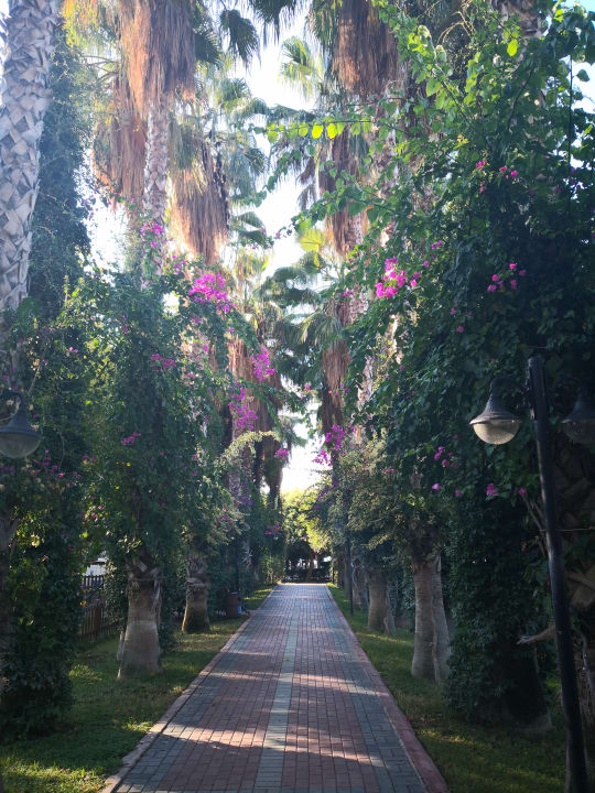 Gartenanlage Hotel Gardenia Beach