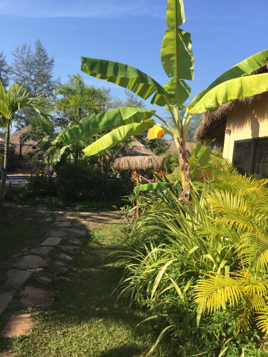 Gartenanlage  Hotel The Secret Garden at Otres Beach