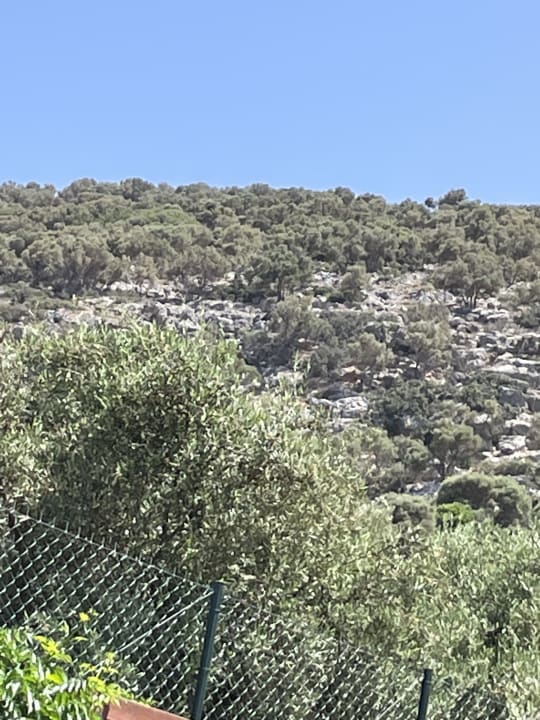 Ausblick Cactus Beach