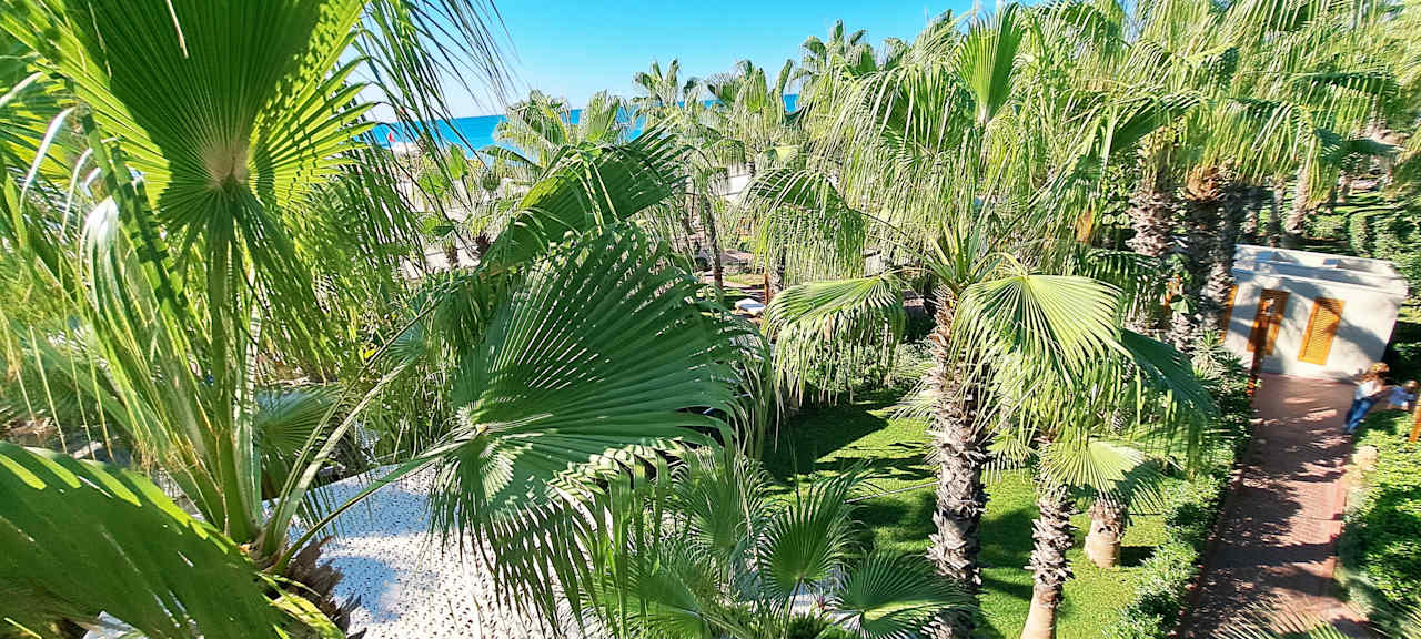 Gartenanlage Hotel Delphin Diva