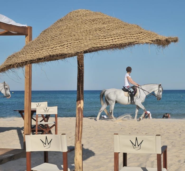 Horse-Riding on the Beach Hotel La Couronne