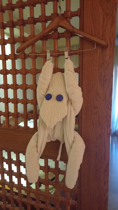 Zimmer Grand Waterworld Makadi & Family Star Makadi