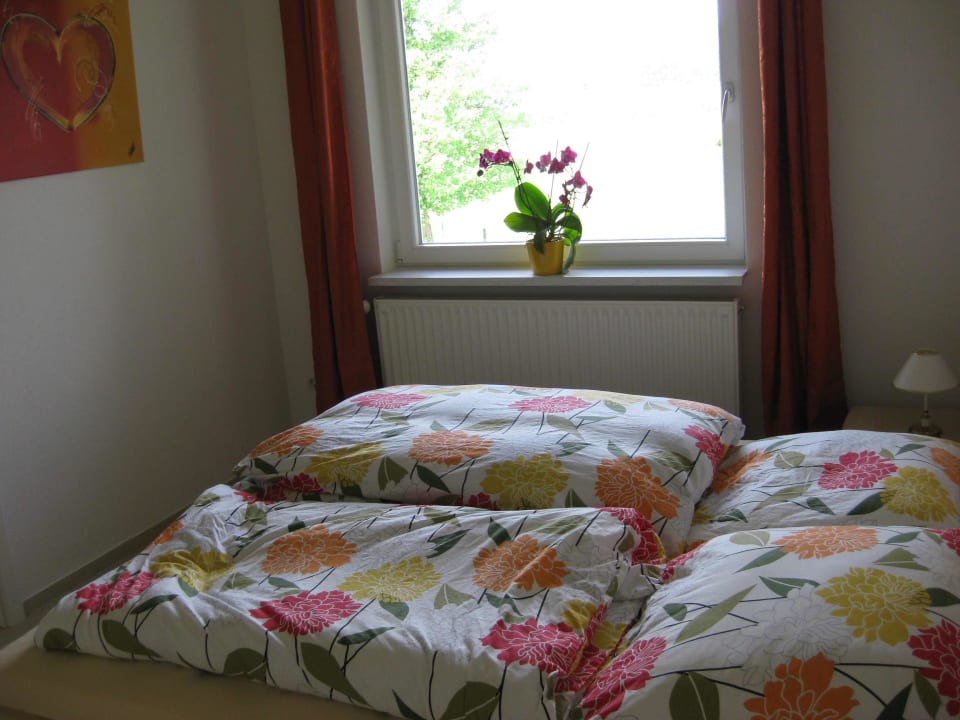 Zimmer Ferienwohnung Pusteblume