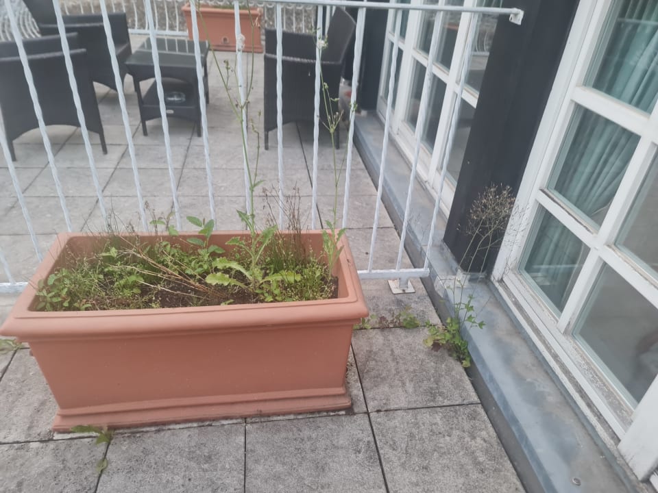 Zimmer Park Hotel am Schloss