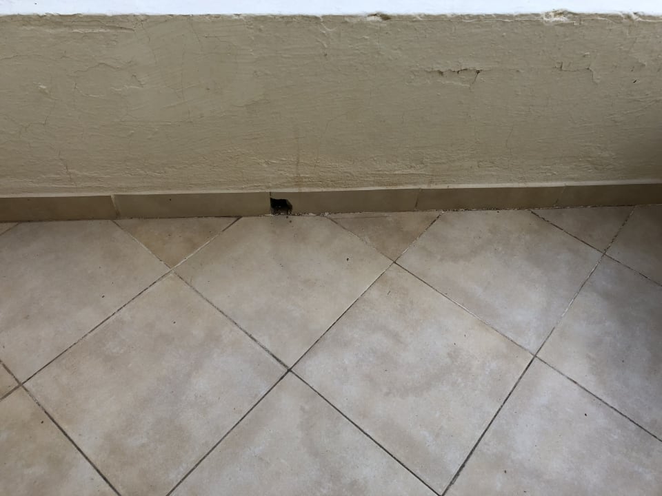 Ausblick TUI MAGIC LIFE Penelope Beach