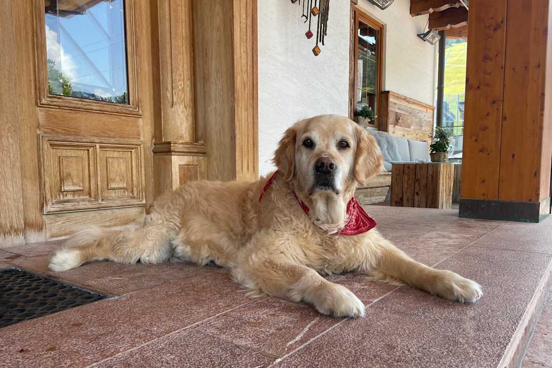 Außenansicht Alpines Gourmet Hotel Montanara