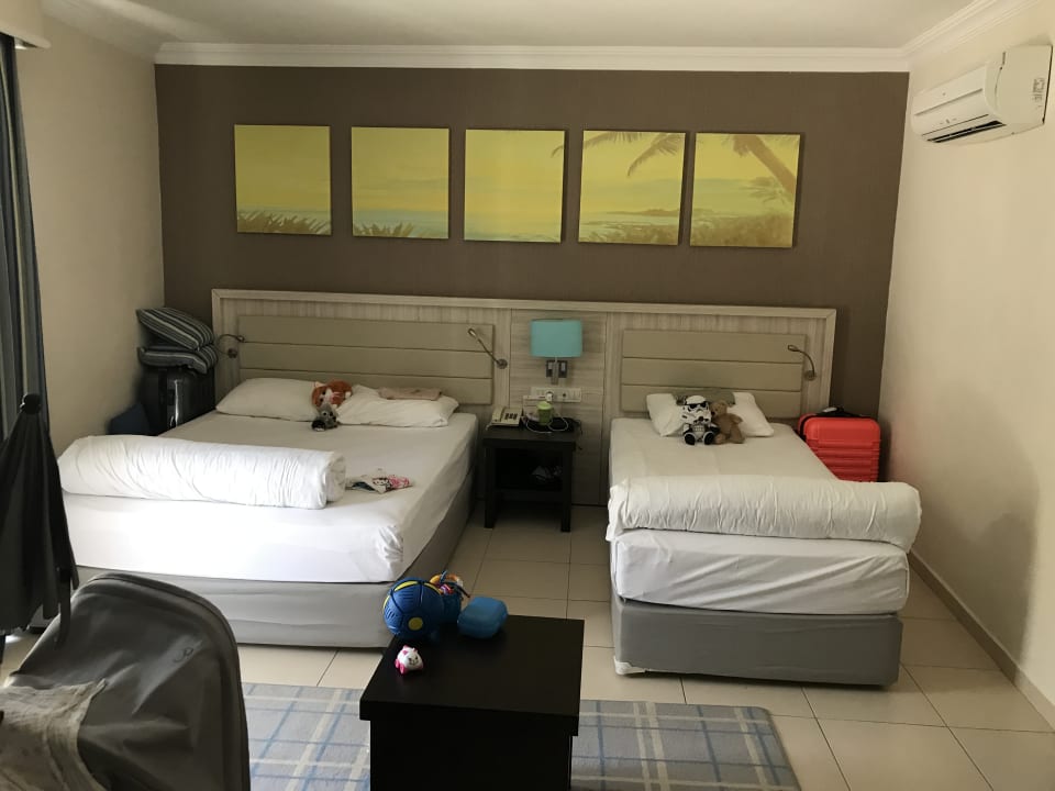 Zimmer Papillon Belvil