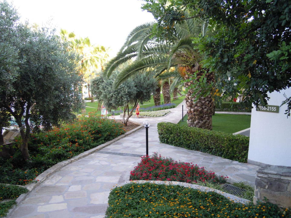Alles sehr schön angelegt Arum Barut Collection