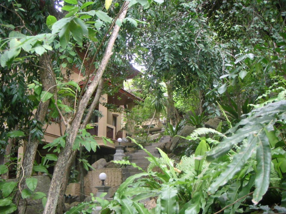 Steile Treppe The Fair House Beach Resort