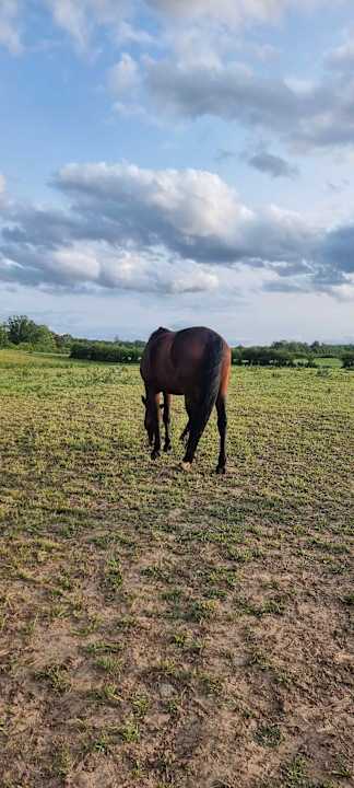 Sport & Freizeit Pałac i Folwark Galiny